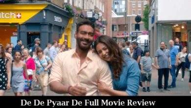 De De Pyaar De Full Movie Review