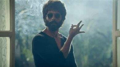 Kabir Singh India Box Office Collection