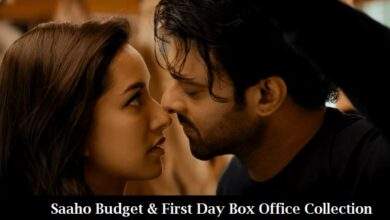 Saaho Budget & First Day Box Office Collection