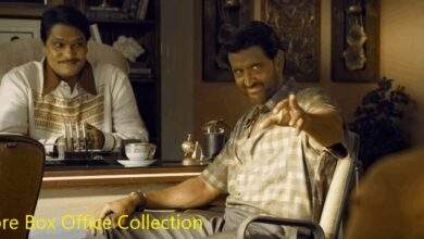 Super 30 India Box Office Collections