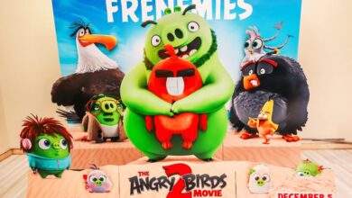 The Angry Birds 2 Full Movie Review