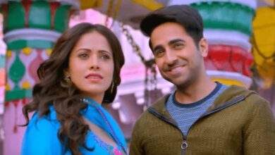 Dream Girl Box Office Collection Day 17