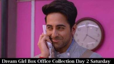 Dream Girl Box Office Collection Day 2 Saturday