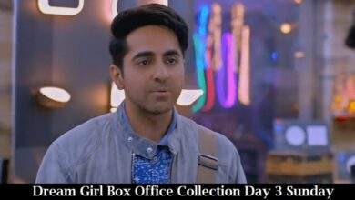 Dream Girl Box Office Collection Day 3 Sunday