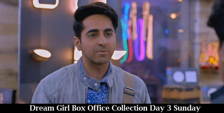 Dream Girl Box Office Collection Day 3 Sunday