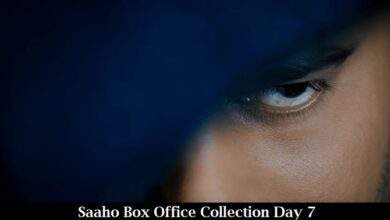Saaho Box Office Collection Day 7
