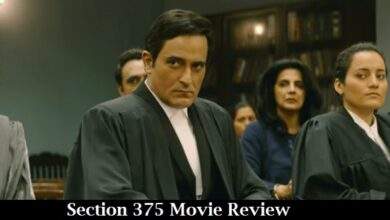 Section 375 Movie Review