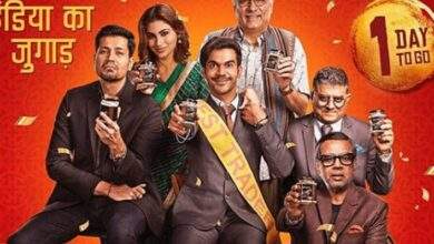 Made In China Movie Review & Critics