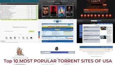 Top 10 Most Popular Torrent Sites in USA