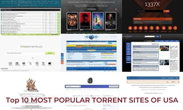 Top 10 Most Popular Torrent Sites in USA