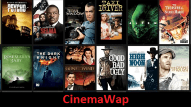 CinemaWap.net
