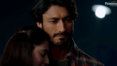 Khuda Haafiz Box Office Collection & Budget