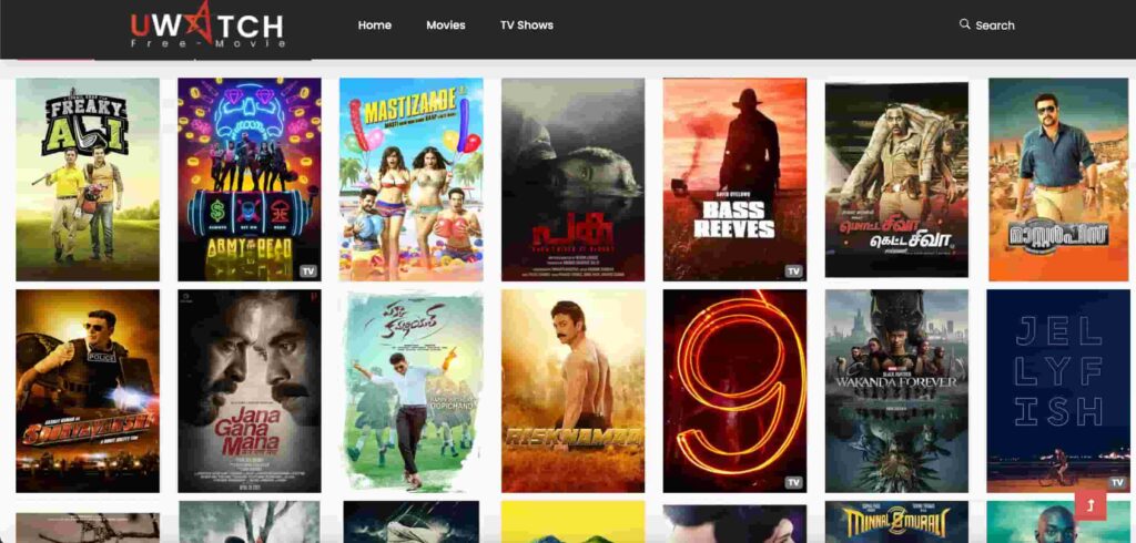 Latest Leaked Movies