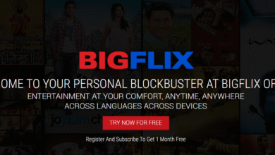 BigFlix