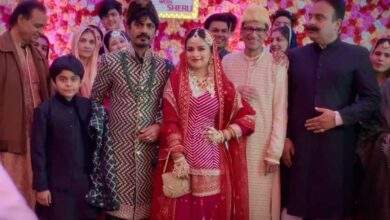 Tiku Weds Sheru Download