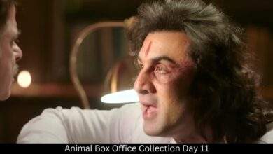 Animal Box Office Collection Day 11