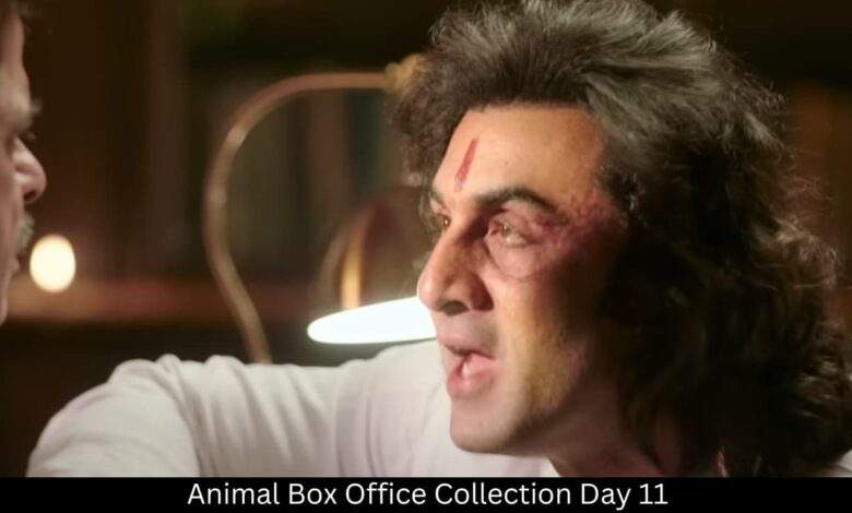 Animal Box Office Collection Day 11