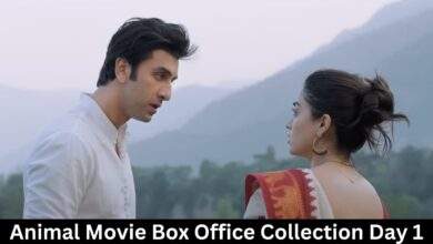 Animal Movie Box Office Collection Day 1