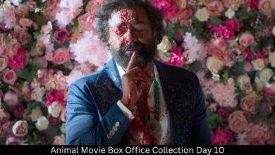 Animal Movie Box Office Collection Day 10