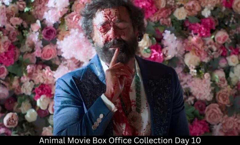 Animal Movie Box Office Collection Day 10