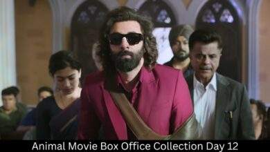 Animal Movie Box Office Collection Day 12