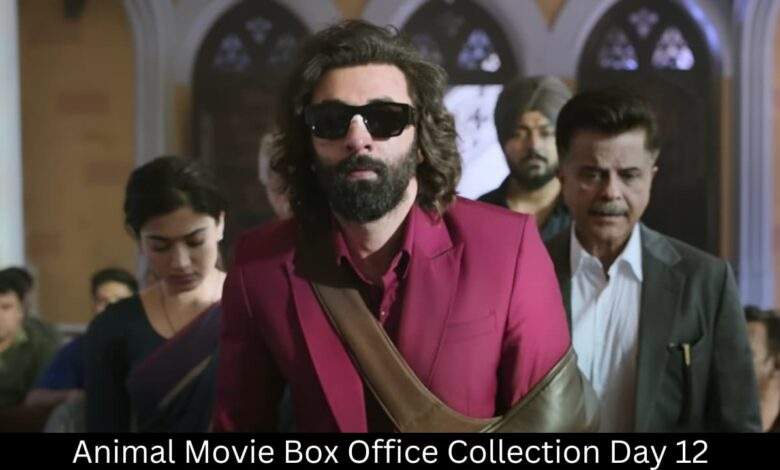 Animal Movie Box Office Collection Day 12