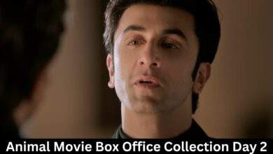 Animal Movie Box Office Collection Day 2