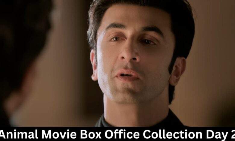 Animal Movie Box Office Collection Day 2