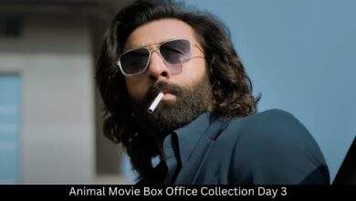 Animal Movie Box Office Collection Day 3