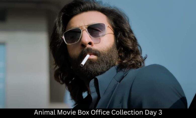 Animal Movie Box Office Collection Day 3