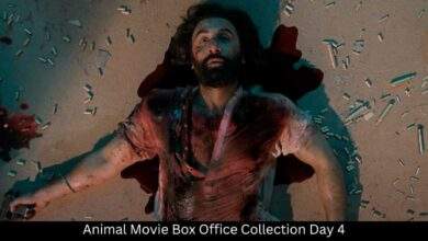 Animal Movie Box Office Collection Day 4