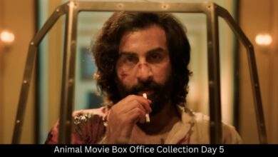 Animal Movie Box Office Collection Day 5