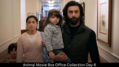 Animal Movie Box Office Collection Day 6