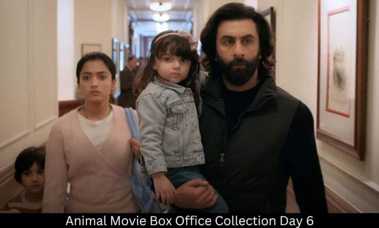 Animal Movie Box Office Collection Day 6