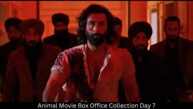 Animal Movie Box Office Collection Day 7