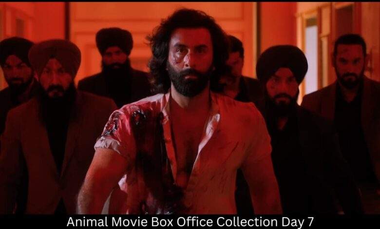 Animal Movie Box Office Collection Day 7