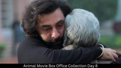 Animal Movie Box Office Collection Day 8