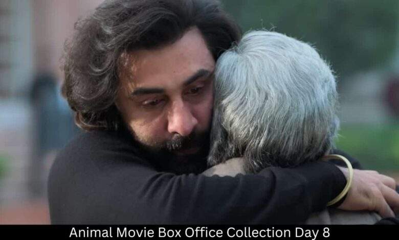 Animal Movie Box Office Collection Day 8