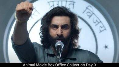 Animal Movie Box Ofiice Collection Day 9