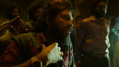 Pushpa 2: The Rule Movie Review