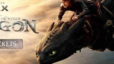 How to Train Your Dragon
