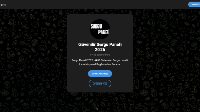 Sorgu Paneli