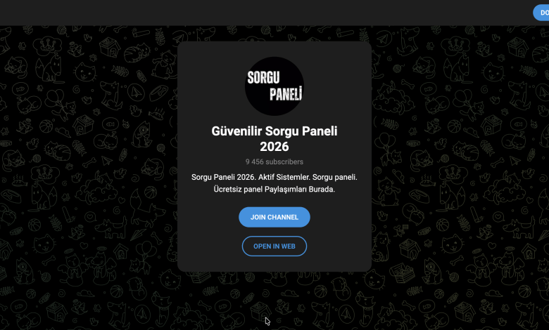 Sorgu Paneli